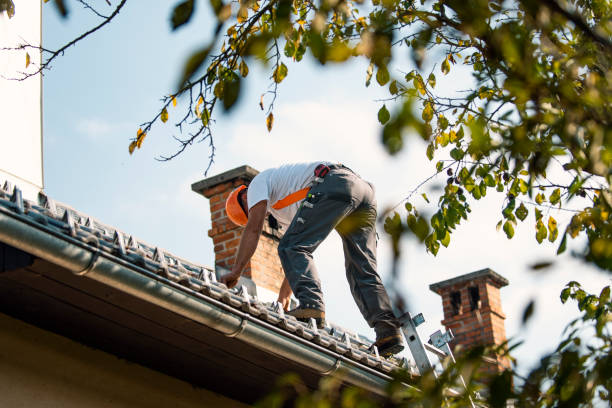 Residential Roof Replacement in Williams, AZ